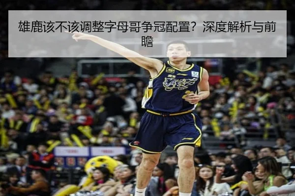 雄鹿该不该调整字母哥争冠配置？深度解析与前瞻